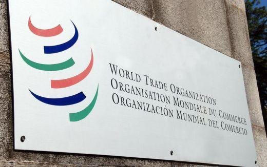 wto什么意思（WTO翻译成中文）